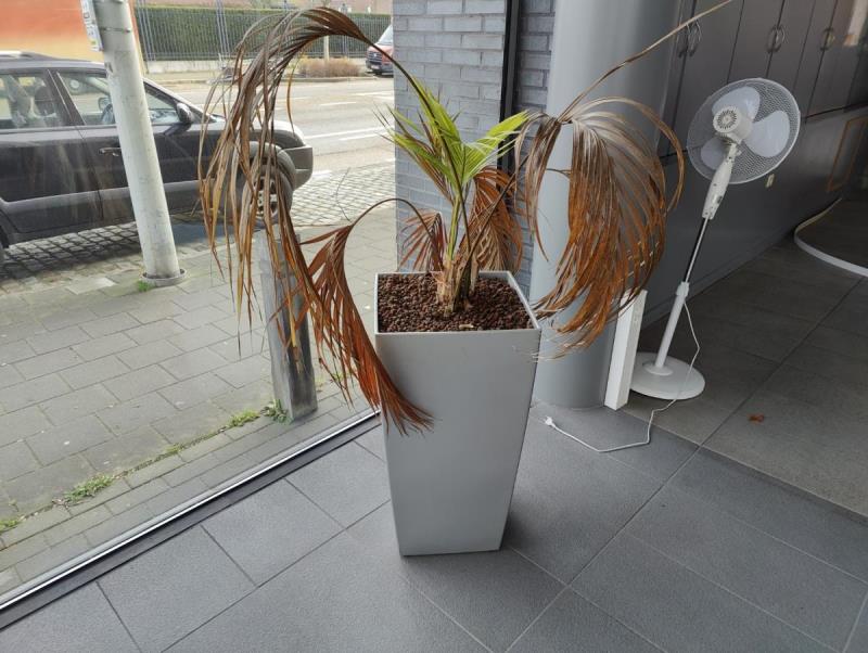 https://cdn.aeman.nl/AE_Hammertime/image/800/800/c8333c49-d4f2-4e55-91cd-2cb1797b0c83/jpg