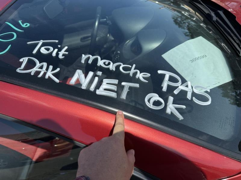 https://cdn.aeman.nl/AE_Hammertime/image/800/800/cbe1c8c6-e1a8-4ce4-92a6-b1d3757c1290/jpg