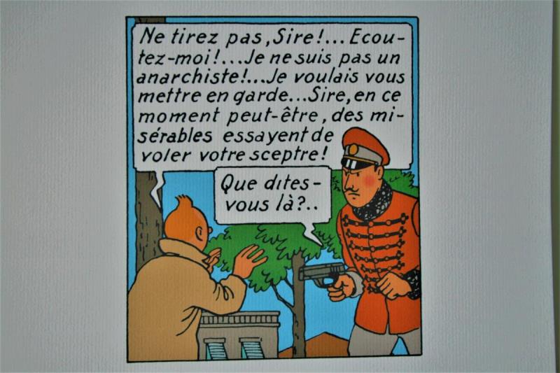 https://cdn.aeman.nl/AE_Hammertime/image/800/800/ce187582-e856-4b4c-8eac-53dd480f1a30/jpg