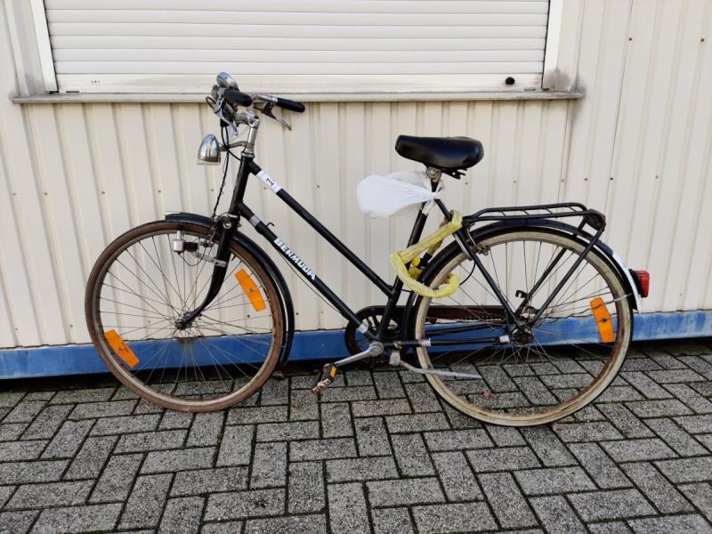 https://cdn.aeman.nl/AE_Hammertime/image/800/800/cebc0023-8540-4058-a1ea-474204478f13/jpg