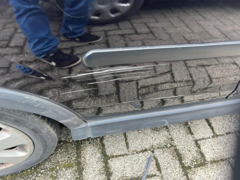 https://cdn.aeman.nl/AE_Hammertime/image/800/800/d12458d7-4f03-4de6-b09f-9285f1104454/jpg