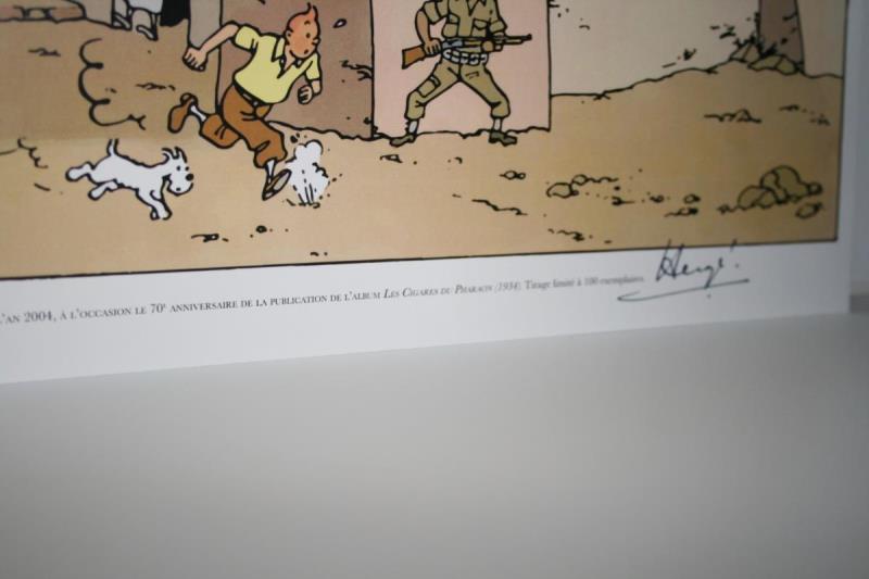 https://cdn.aeman.nl/AE_Hammertime/image/800/800/d28216ac-745b-4d28-948d-c35f286e76cd/jpg