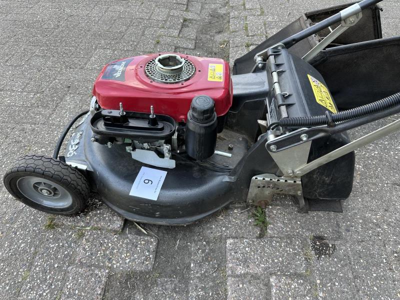 https://cdn.aeman.nl/AE_Hammertime/image/800/800/d5481d76-906e-43cb-bf91-1b96f53110f9/jpg