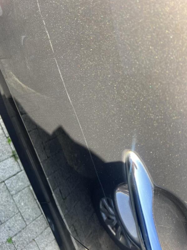 https://cdn.aeman.nl/AE_Hammertime/image/800/800/d8436c39-6b73-4ea7-80aa-278f007c6fc6/jpg