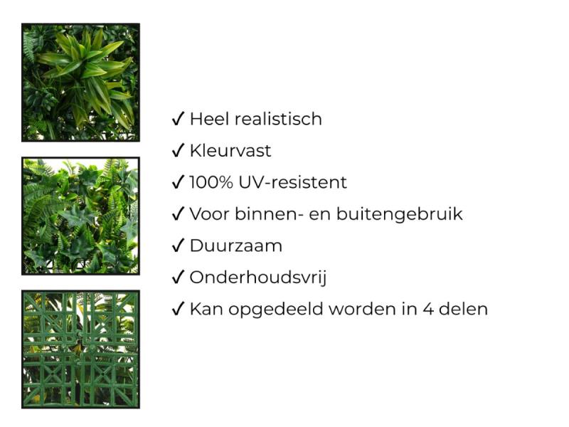 https://cdn.aeman.nl/AE_Hammertime/image/800/800/d90fccfd-5a19-42fb-b3c3-c383622beb03/jpg