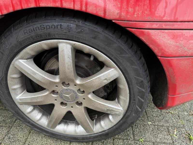 https://cdn.aeman.nl/AE_Hammertime/image/800/800/daf11590-c0be-4044-9383-0f3f1c0d6e74/jpg
