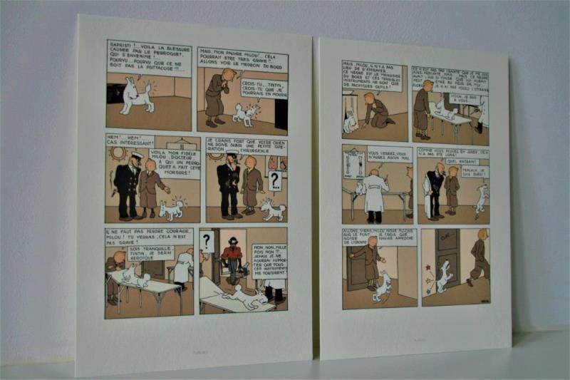 https://cdn.aeman.nl/AE_Hammertime/image/800/800/db26d9c8-48fc-4750-a74b-9e10a415df61/jpg