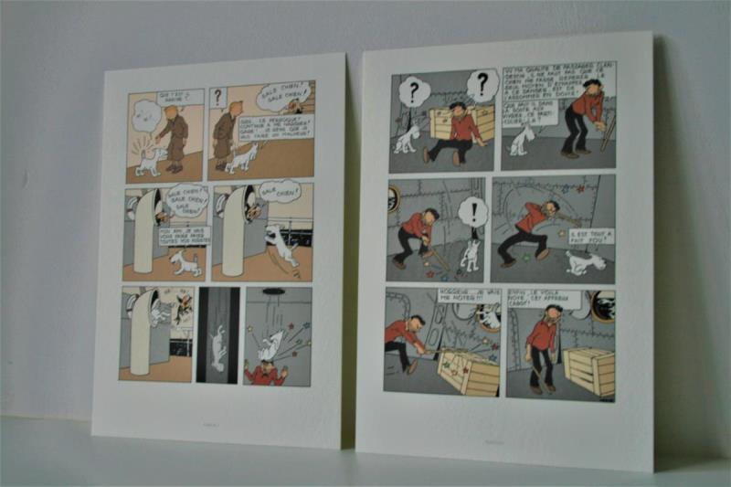 https://cdn.aeman.nl/AE_Hammertime/image/800/800/dba15703-f047-4226-b65c-92d0d8a1b695/jpg