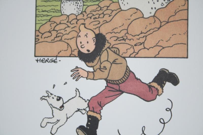 https://cdn.aeman.nl/AE_Hammertime/image/800/800/dedf9e6c-b79b-41eb-b25e-a54b8acdae31/jpg