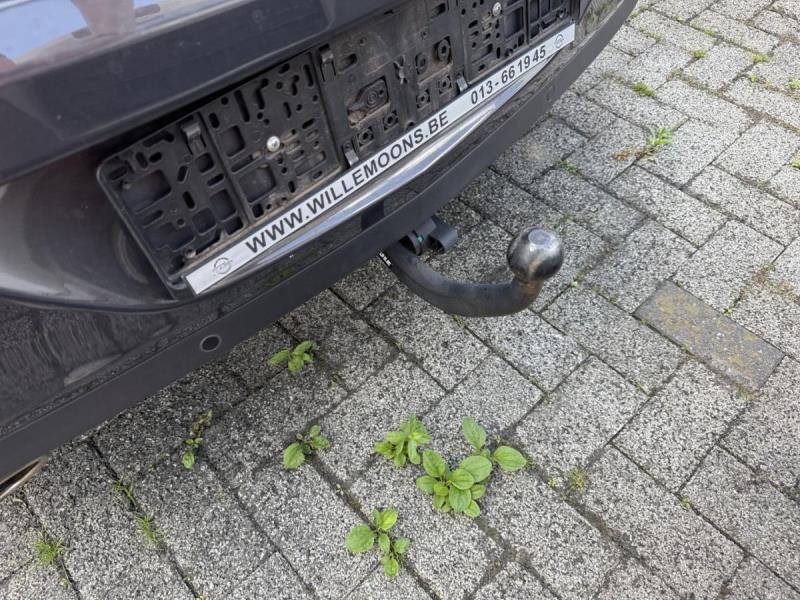 https://cdn.aeman.nl/AE_Hammertime/image/800/800/df2d102d-6c92-4df3-b330-aaef2f3de849/jpg