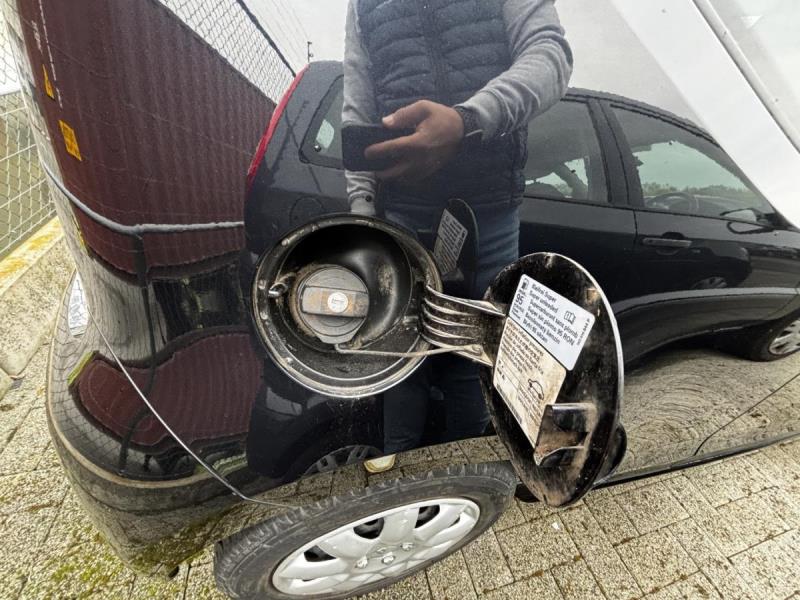 https://cdn.aeman.nl/AE_Hammertime/image/800/800/e27ef51a-3f7b-43a0-ad20-cb45bc79608b/jpg