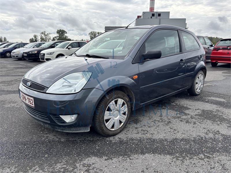 Ford Fiesta Van 1.4 Turbo Tdci, 2006 – foto 2 – kavel bij Hammertime