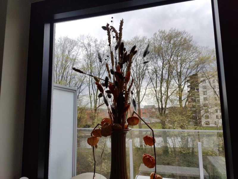 https://cdn.aeman.nl/AE_Hammertime/image/800/800/e611f6df-71a3-4354-b357-2a67727a36d1/jpg