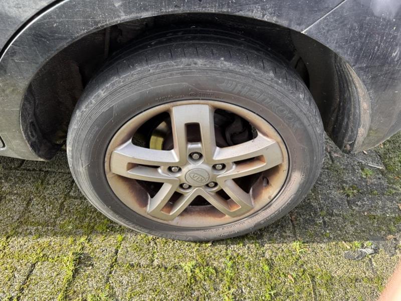 https://cdn.aeman.nl/AE_Hammertime/image/800/800/e6274375-e986-4c43-a878-3b3dbeddb36e/jpg