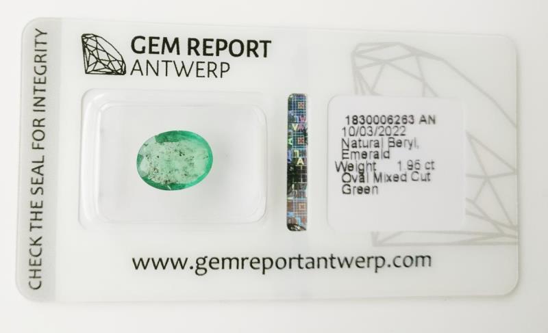 https://cdn.aeman.nl/AE_Hammertime/image/800/800/e6d7be93-4e94-4420-8d37-cce40909bf2d/jpg