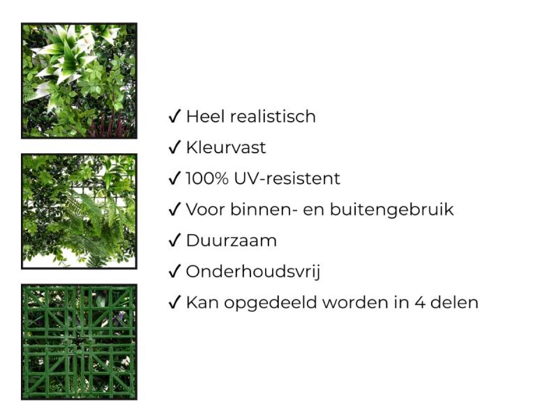 https://cdn.aeman.nl/AE_Hammertime/image/800/800/e8fa6b71-ae86-497a-8323-5d739bd91b45/jpg