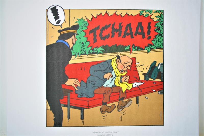 https://cdn.aeman.nl/AE_Hammertime/image/800/800/e90e7dae-fe2d-4a86-8f72-dc9997e6250f/jpg
