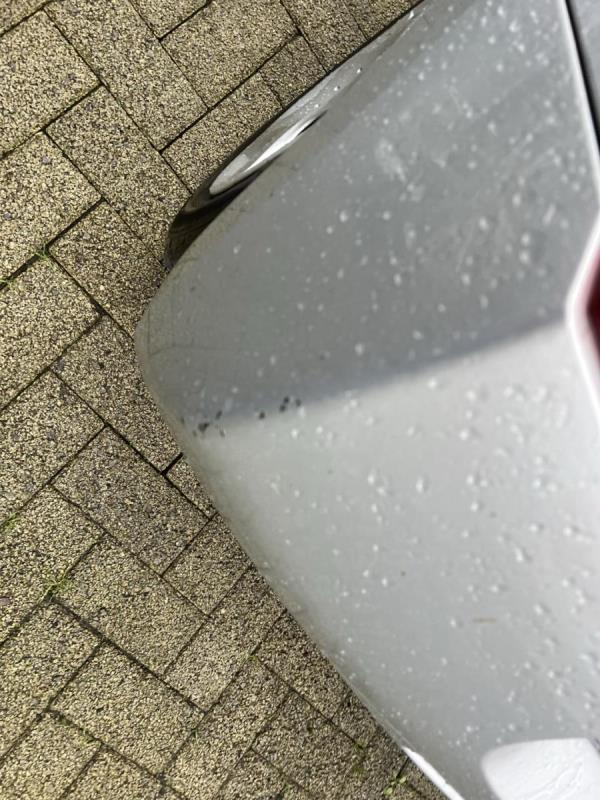 https://cdn.aeman.nl/AE_Hammertime/image/800/800/ea161d59-ede1-434a-855d-fe62de26f0e2/jpg