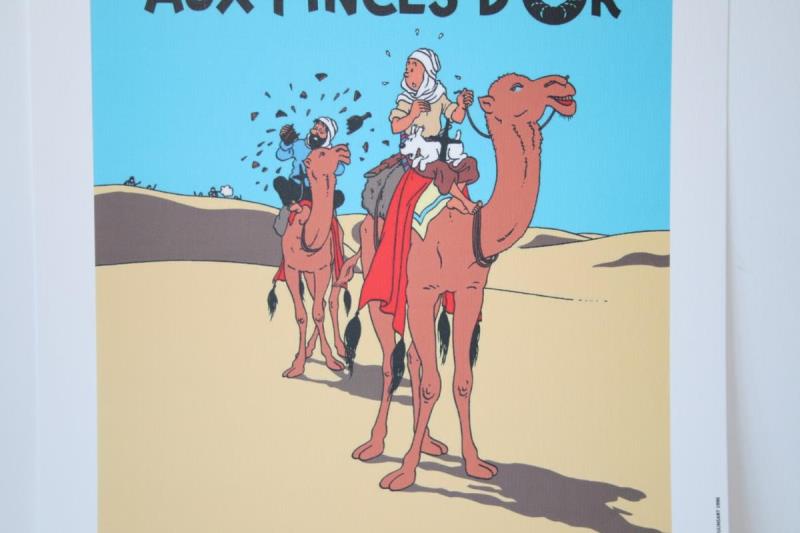 https://cdn.aeman.nl/AE_Hammertime/image/800/800/ebd1edd0-00b7-42dc-b71c-602f0a1b1a4f/jpg