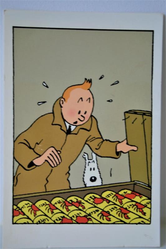 https://cdn.aeman.nl/AE_Hammertime/image/800/800/ed06634e-9236-44af-bd33-d15efa31f80f/jpg