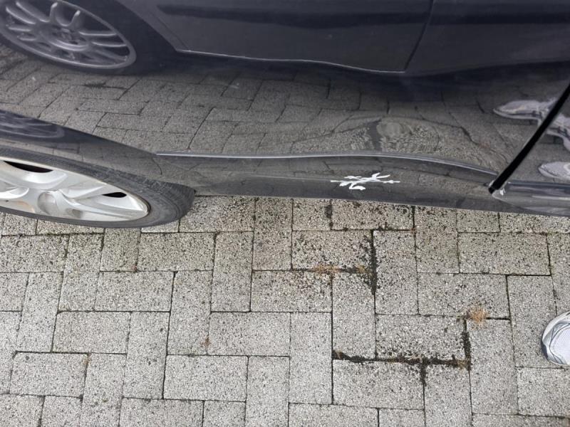 https://cdn.aeman.nl/AE_Hammertime/image/800/800/ef0ea798-5457-4630-9602-49283bf9b867/jpg