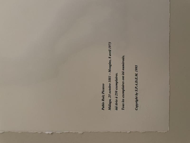 https://cdn.aeman.nl/AE_Hammertime/image/800/800/ef1b1cf3-88aa-4b3b-9903-2e3dc72d4f3a/jpg