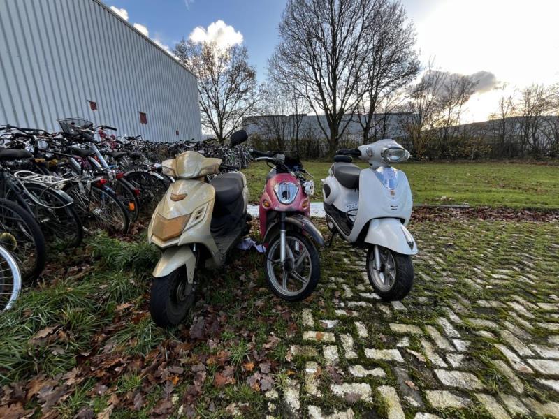 https://cdn.aeman.nl/AE_Hammertime/image/800/800/f3ad8b96-aaec-4200-966a-d785f1a7d8d8/jpg