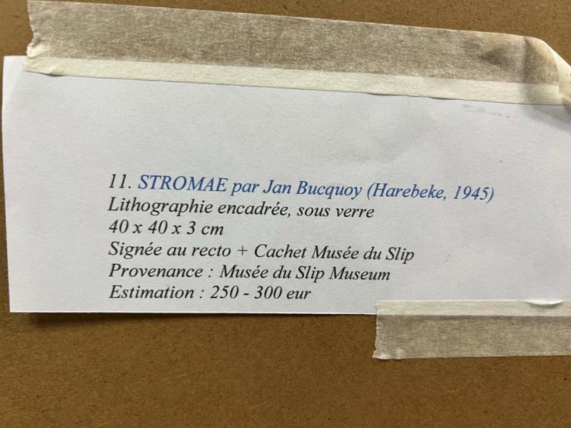 https://cdn.aeman.nl/AE_Hammertime/image/800/800/f4e95647-1148-4fce-9298-7944e6668c62/jpg