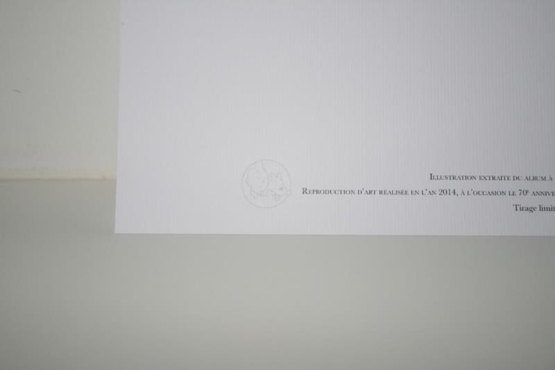 https://cdn.aeman.nl/AE_Hammertime/image/800/800/f507e901-1b01-4ad3-ae92-15086e118280/jpg