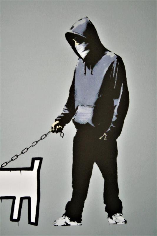 https://cdn.aeman.nl/AE_Hammertime/image/800/800/f5d9c631-78a3-4ee3-8ee3-48e562f79b9f/jpg