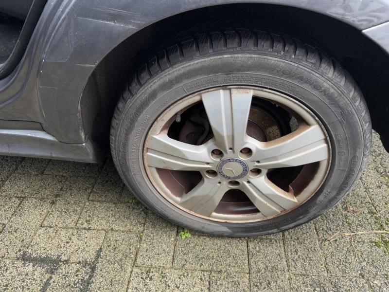 https://cdn.aeman.nl/AE_Hammertime/image/800/800/f7fac976-889e-4f2b-b5c4-0828a5a20c55/jpg