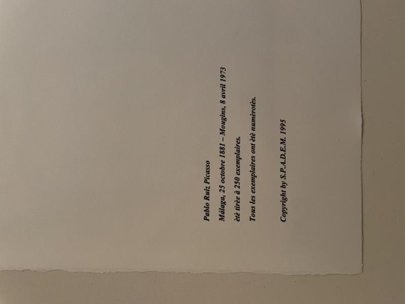 https://cdn.aeman.nl/AE_Hammertime/image/800/800/fa6caf4b-de4c-4f03-ac2b-8d380a9ce384/jpg