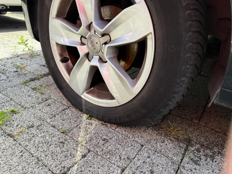 https://cdn.aeman.nl/AE_Hammertime/image/800/800/fbdcb389-d713-441b-80d7-32e3cb6c0eee/jpg
