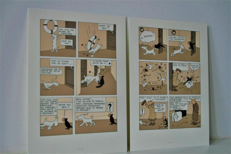 https://cdn.aeman.nl/AE_Hammertime/image/800/800/fe211bbb-3ab4-45e9-9f3b-a5c6ab8b6838/jpg