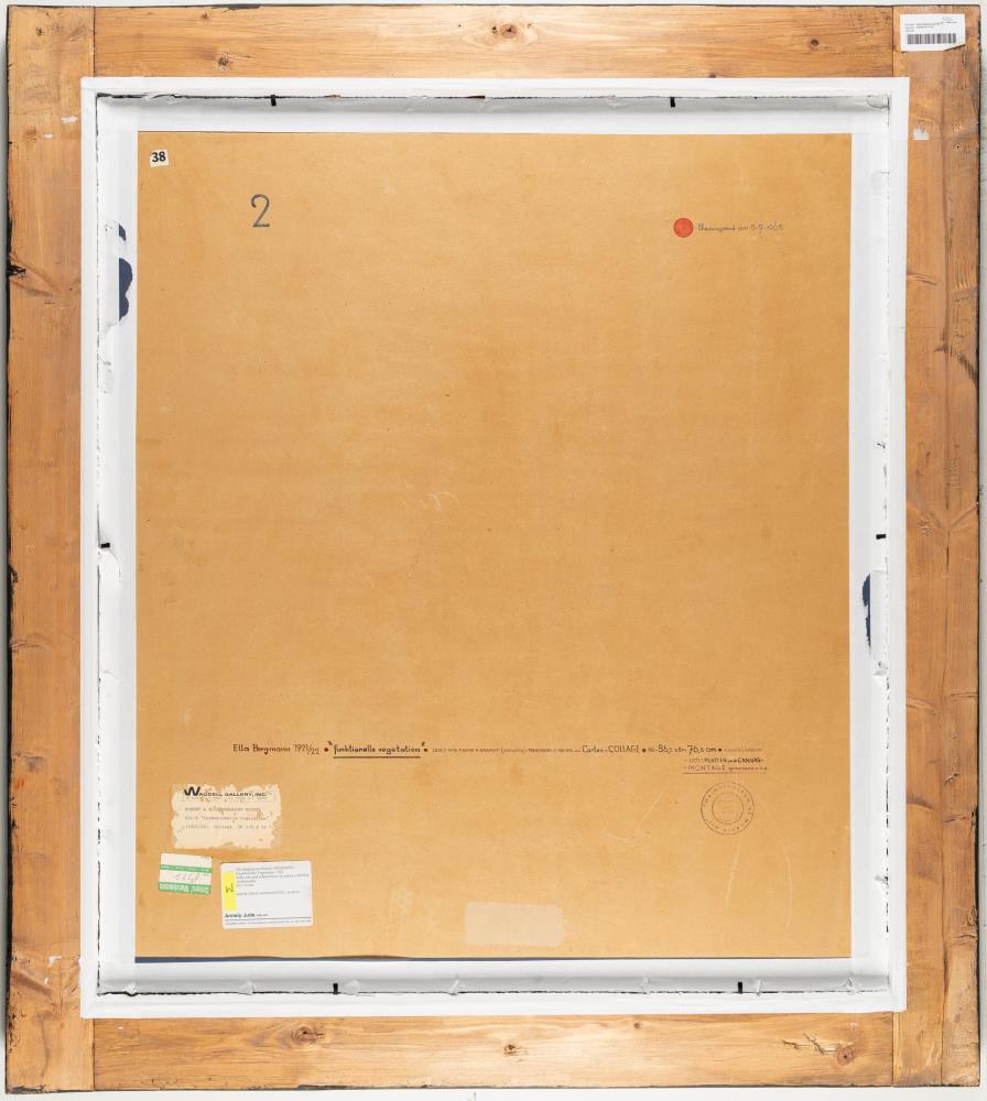 „funktionelle vegetation“