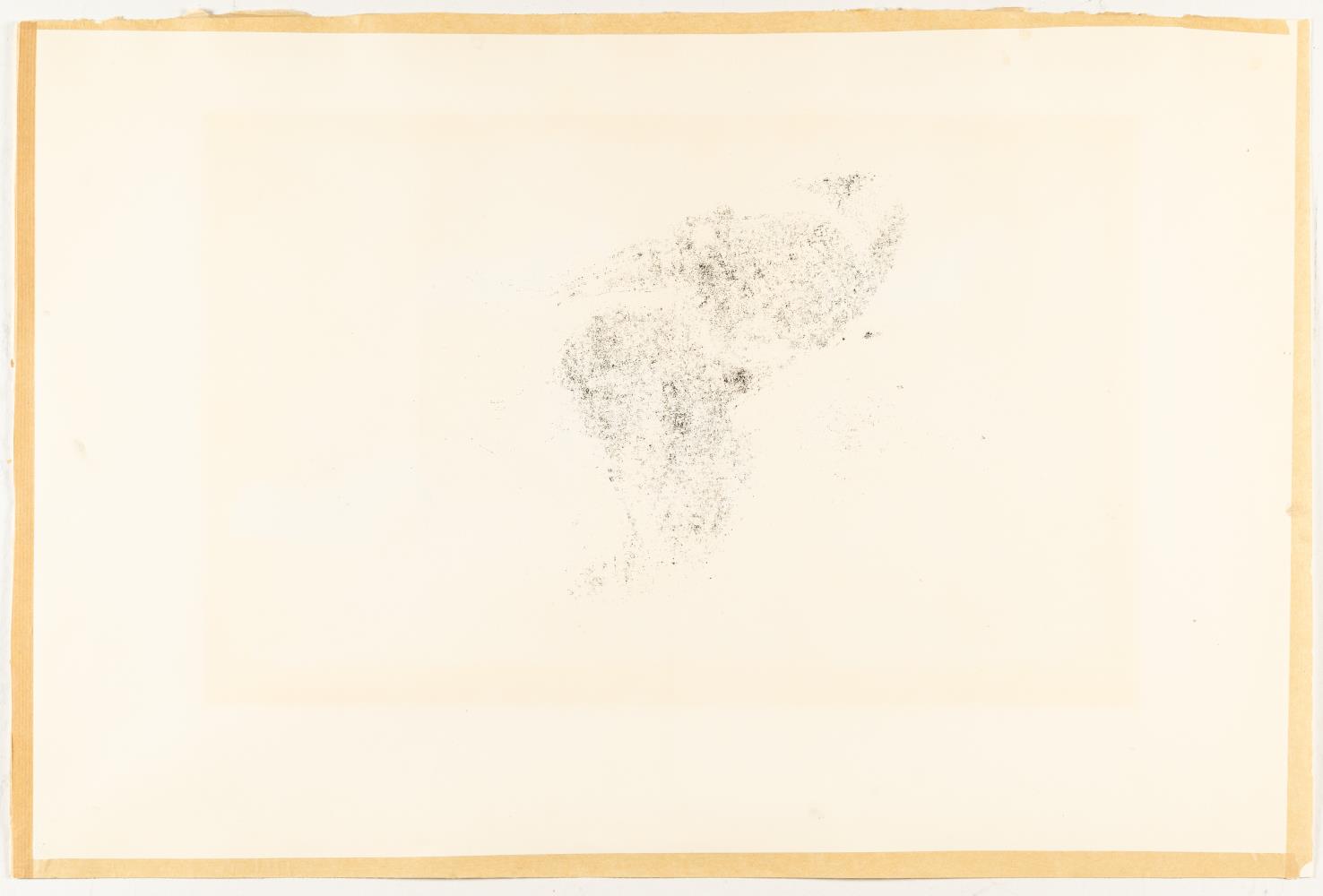 Vier Pferde auf der Weide