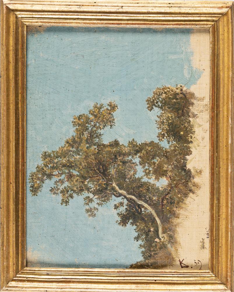 Baum vor blauem Himmel