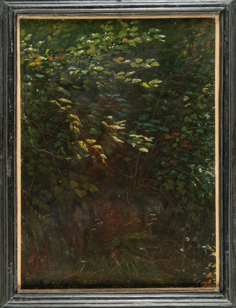 Sottobosco