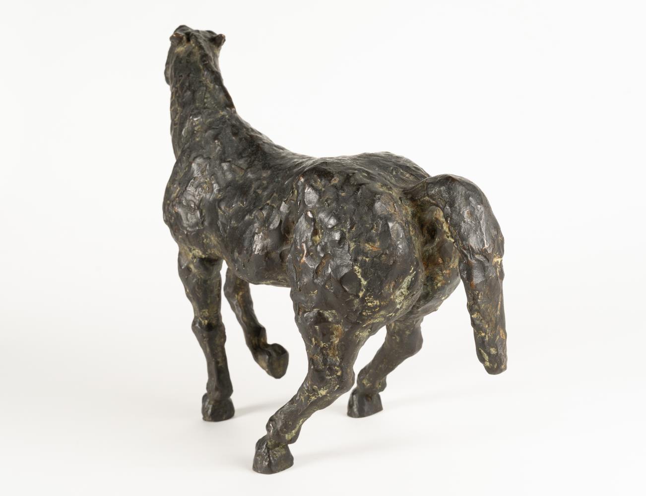 Shying horse