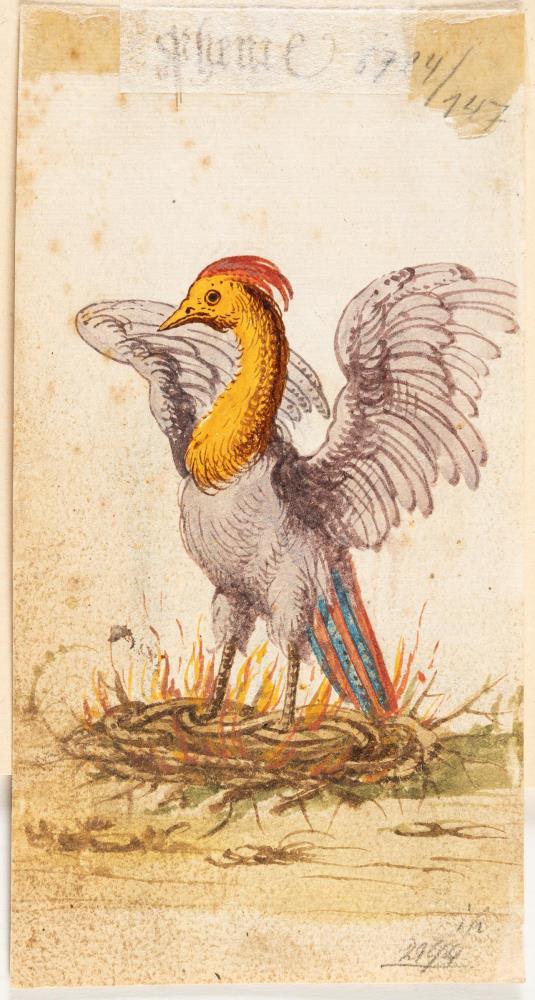 3 Bll.: Auerhuhn – Schwarzes Wasserhuhn – Weißer Kranich (verso Phönix)