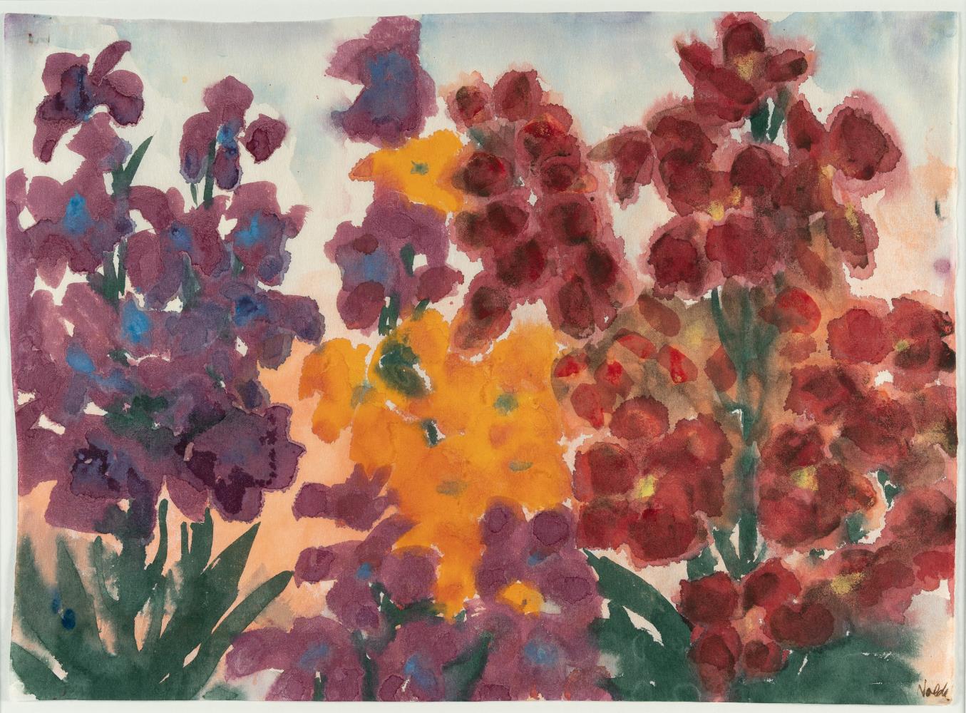 Yellow, red and purple flowers
