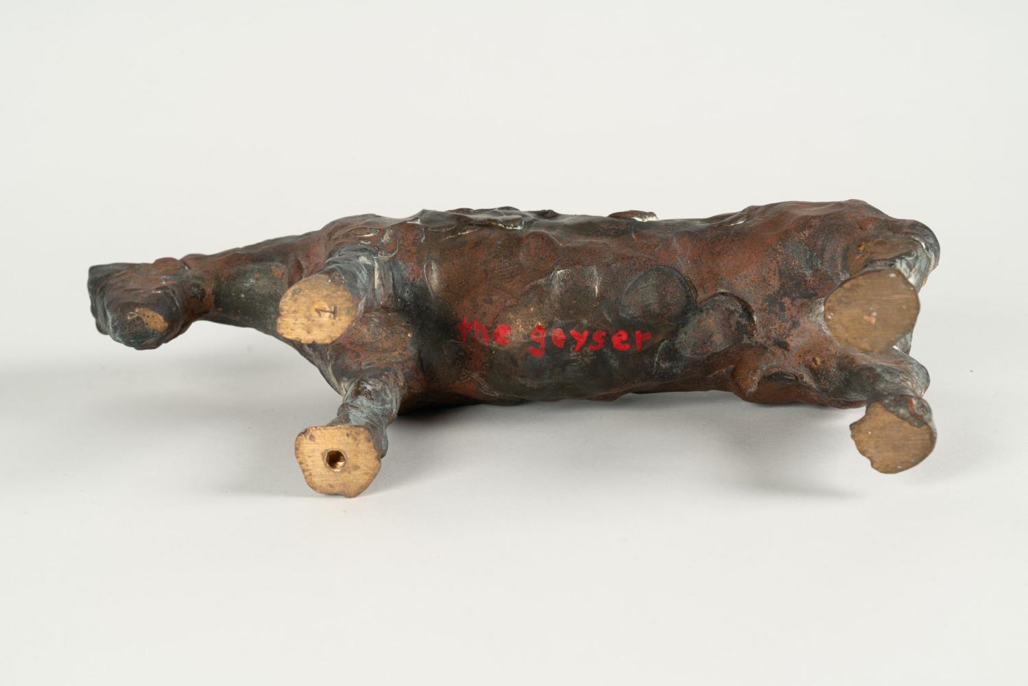 „the geyser“
