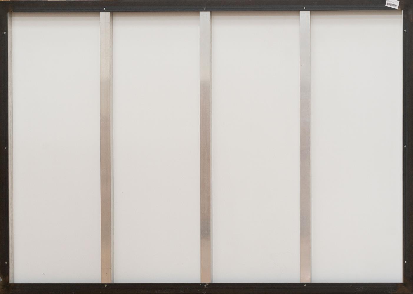 Valley of Fire, Nevada