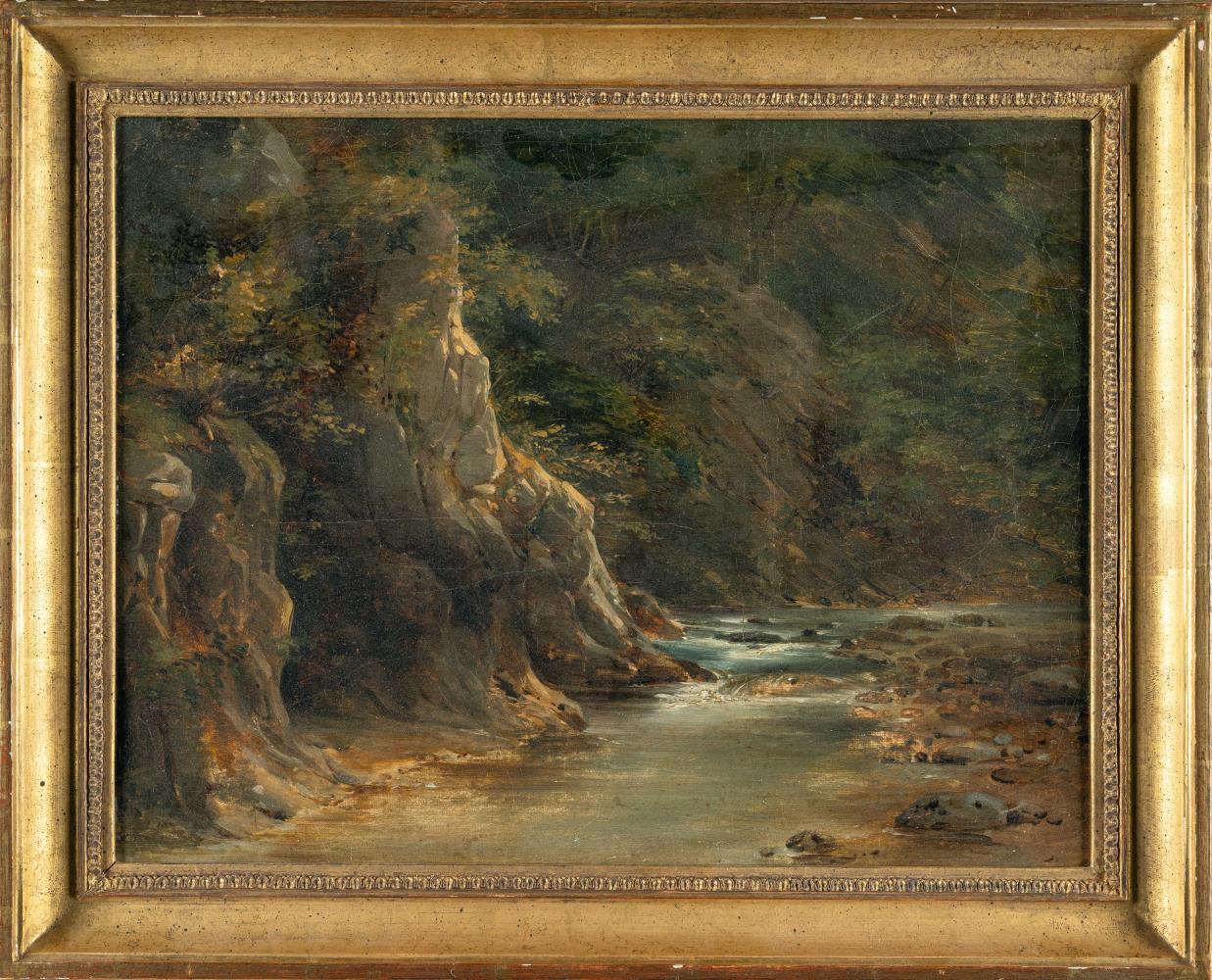 Waldlandschaft mit Gewässer