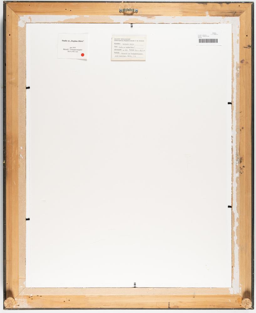 Studie zu dem Gemälde „Daphne-Büste“