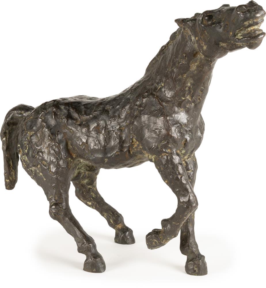 Shying horse