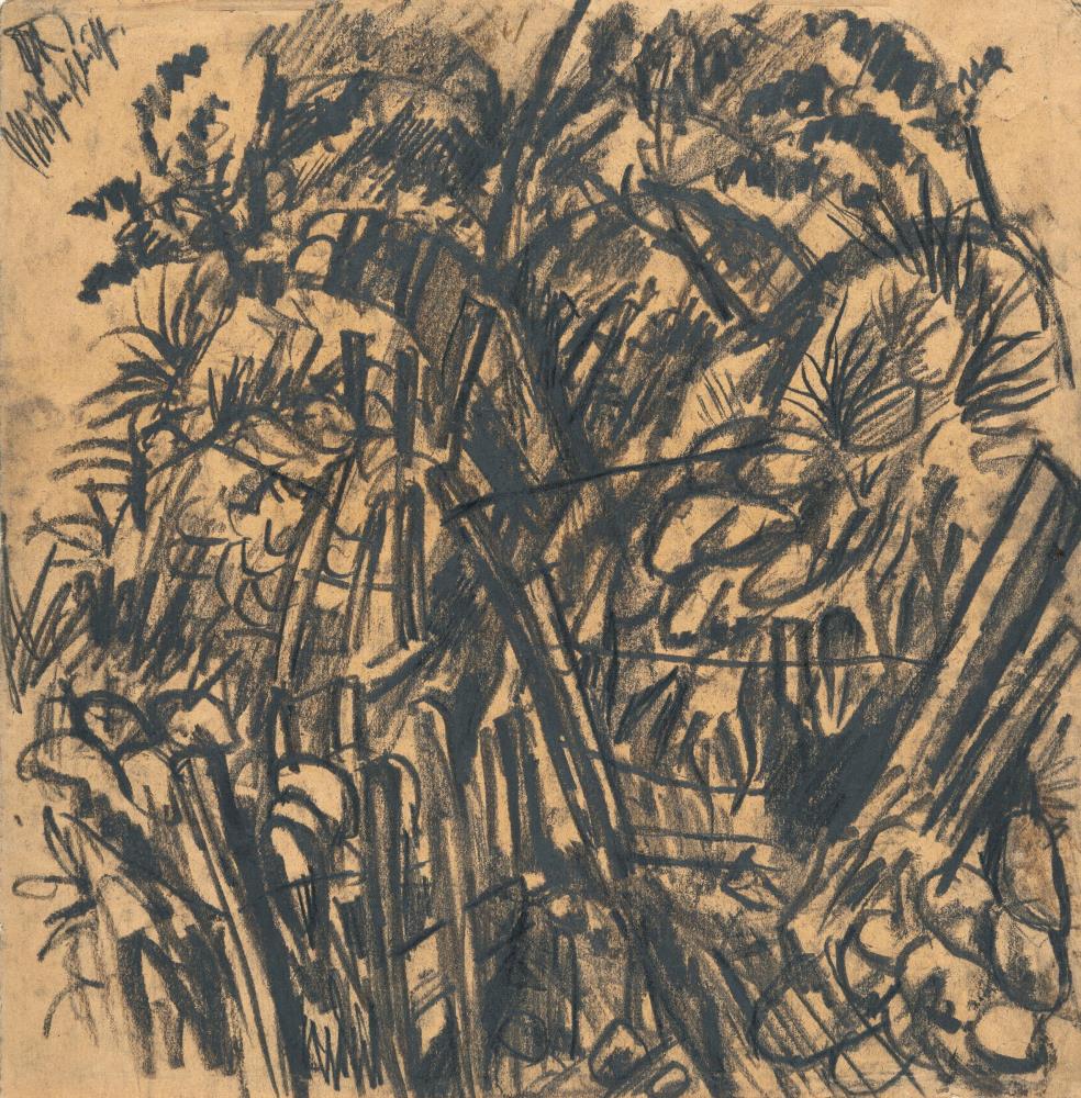 „Mühlenschlucht“ (Mill Gorge)