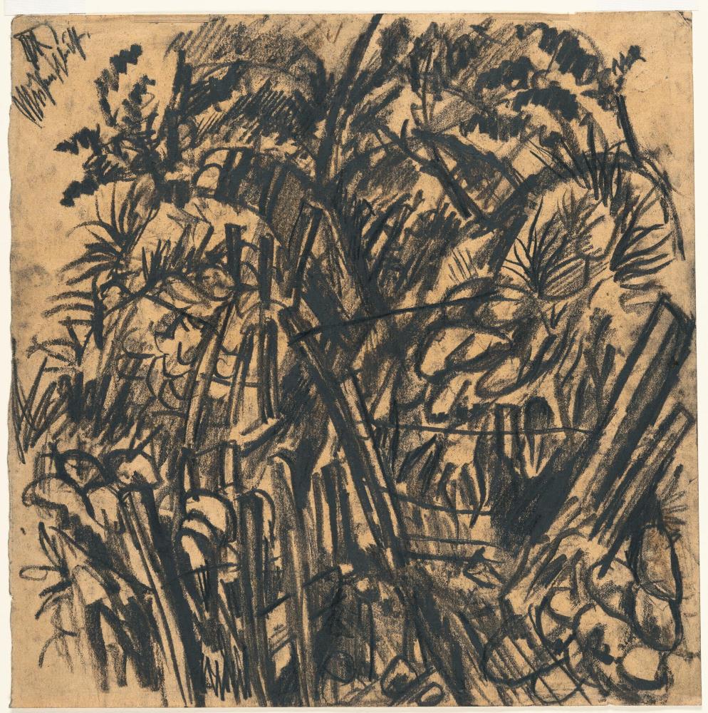 „Mühlenschlucht“ (Mill Gorge)