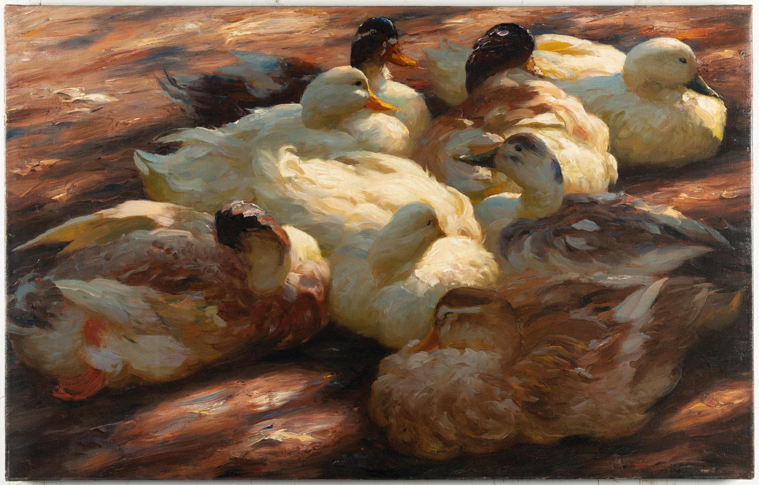 Ruhende Enten