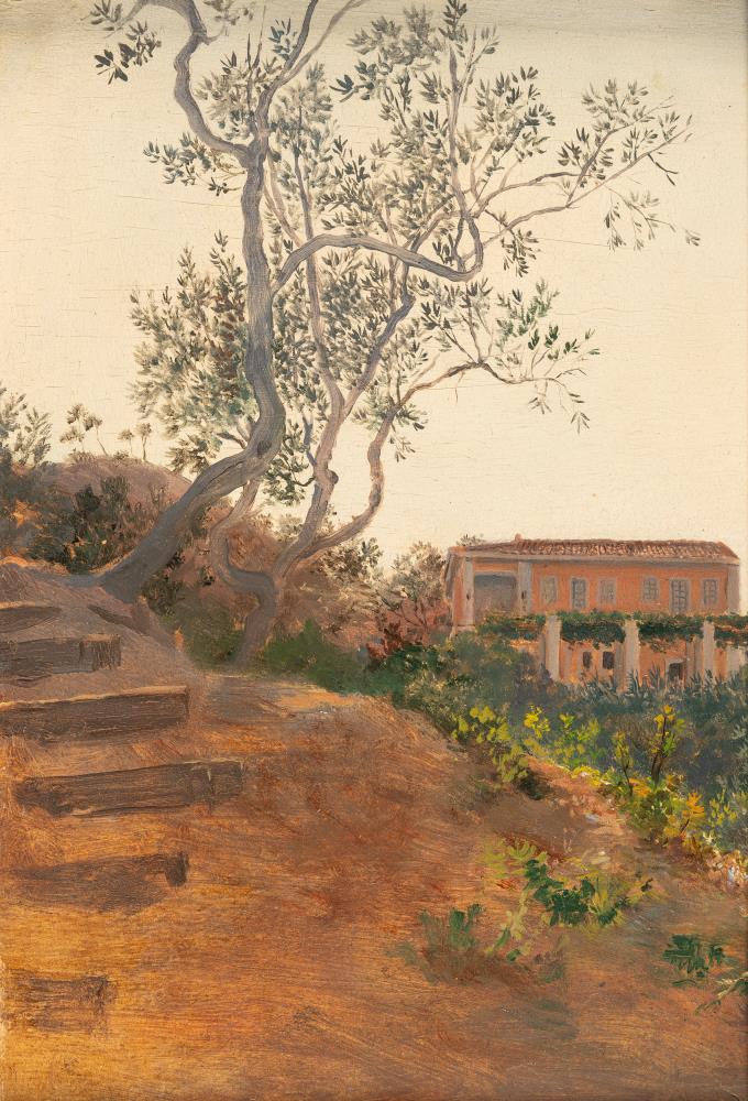 Olivenbaum vor Villa in Ariccia
